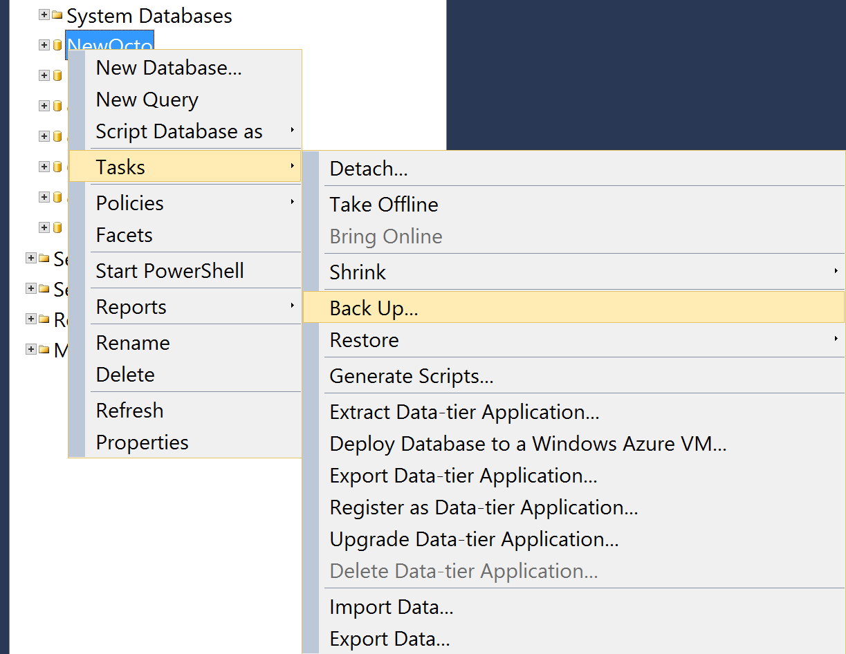 Backup SQL database in SQL Server Management Studio